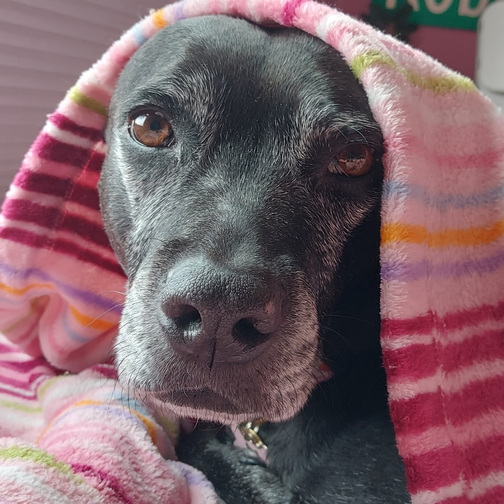 Hiiiii 💜